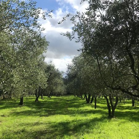 Agriturismo Podere I' Caldino Troghi Exterior foto